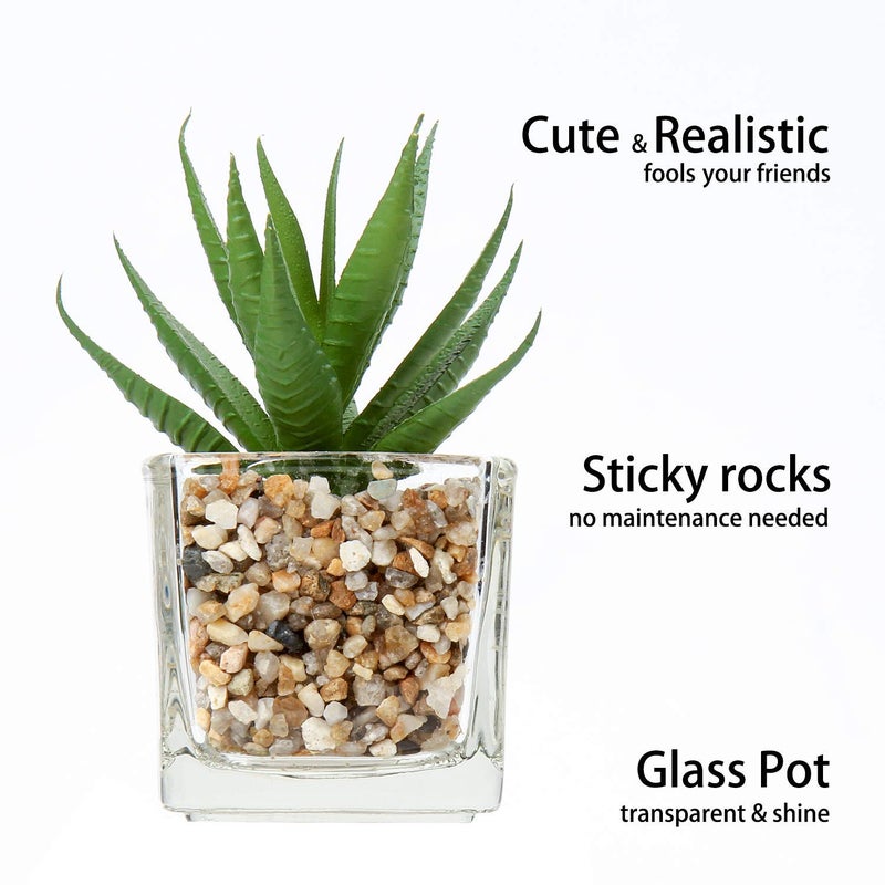 Briful Set of 4 Succulents Plants Artificial in Clear Glass Pots Small Fake Succulents Plants Mini Faux Plants Indoor for Window Sill Office Table Desk Shelf Bathroom Decor - Image 3
